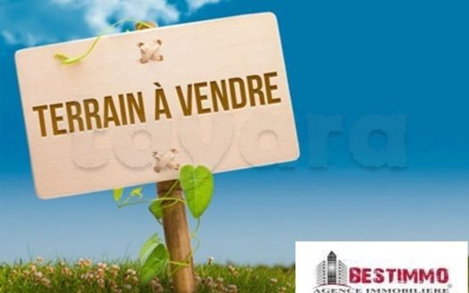 WhatsApp Image 2025-06-19 a 16.21.24_1eea383b