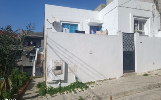 WhatsApp Image 2026-03-12 at 11.44.20